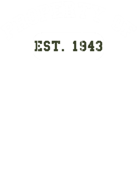 https://d1w8c6s6gmwlek.cloudfront.net/usstshirts.com/overlays/719/965/7199653.png img