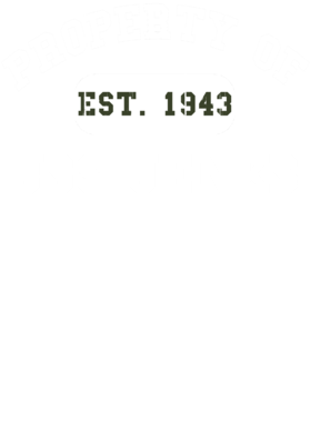 https://d1w8c6s6gmwlek.cloudfront.net/usstshirts.com/overlays/720/443/7204434.png img