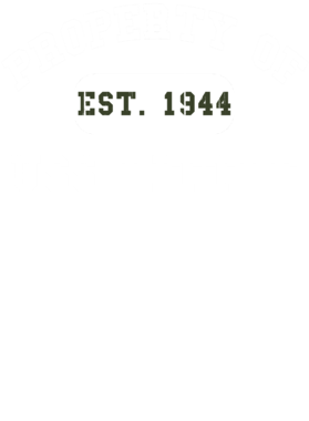 https://d1w8c6s6gmwlek.cloudfront.net/usstshirts.com/overlays/720/913/7209134.png img