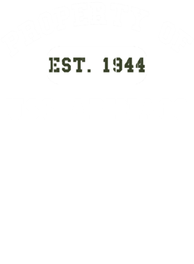 https://d1w8c6s6gmwlek.cloudfront.net/usstshirts.com/overlays/720/937/7209372.png img