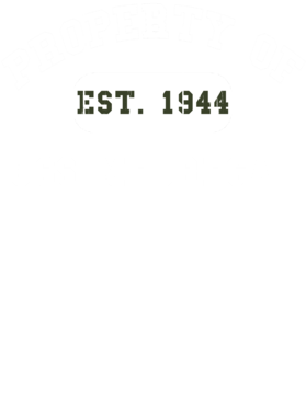 https://d1w8c6s6gmwlek.cloudfront.net/usstshirts.com/overlays/720/966/7209667.png img