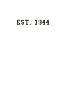 https://d1w8c6s6gmwlek.cloudfront.net/usstshirts.com/overlays/721/129/7211296.png img