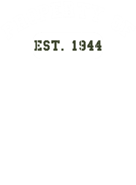 https://d1w8c6s6gmwlek.cloudfront.net/usstshirts.com/overlays/721/218/7212186.png img
