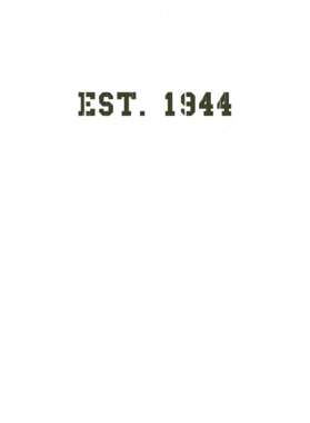 https://d1w8c6s6gmwlek.cloudfront.net/usstshirts.com/overlays/721/240/7212406.png img
