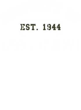 https://d1w8c6s6gmwlek.cloudfront.net/usstshirts.com/overlays/721/264/7212640.png img