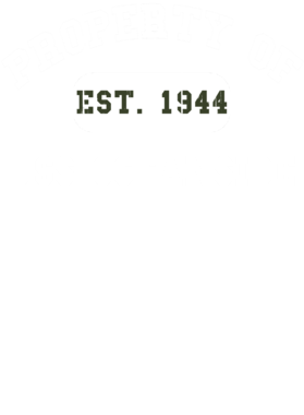 https://d1w8c6s6gmwlek.cloudfront.net/usstshirts.com/overlays/721/303/7213033.png img