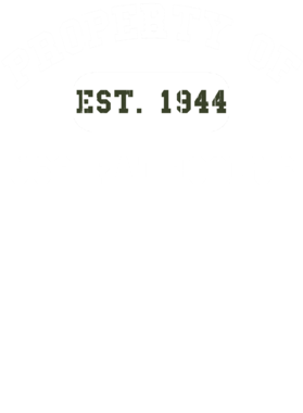 https://d1w8c6s6gmwlek.cloudfront.net/usstshirts.com/overlays/721/330/7213301.png img