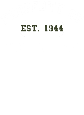 https://d1w8c6s6gmwlek.cloudfront.net/usstshirts.com/overlays/721/389/7213894.png img