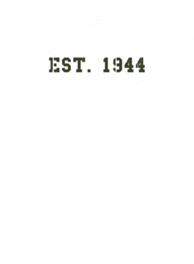 https://d1w8c6s6gmwlek.cloudfront.net/usstshirts.com/overlays/721/589/7215891.png img