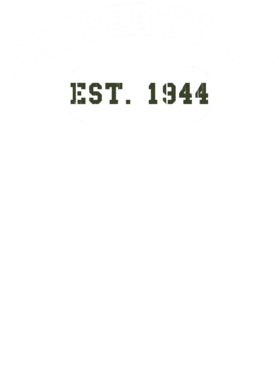 https://d1w8c6s6gmwlek.cloudfront.net/usstshirts.com/overlays/721/672/7216725.png img