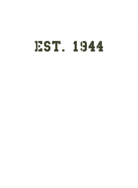 https://d1w8c6s6gmwlek.cloudfront.net/usstshirts.com/overlays/721/736/7217363.png img