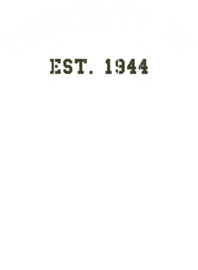 https://d1w8c6s6gmwlek.cloudfront.net/usstshirts.com/overlays/721/737/7217373.png img
