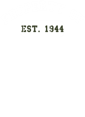 https://d1w8c6s6gmwlek.cloudfront.net/usstshirts.com/overlays/721/755/7217559.png img