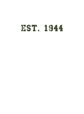 https://d1w8c6s6gmwlek.cloudfront.net/usstshirts.com/overlays/721/768/7217688.png img