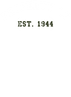 https://d1w8c6s6gmwlek.cloudfront.net/usstshirts.com/overlays/721/823/7218237.png img