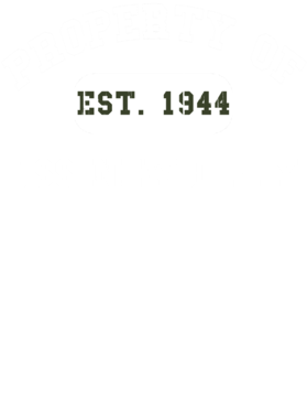 https://d1w8c6s6gmwlek.cloudfront.net/usstshirts.com/overlays/721/841/7218411.png img