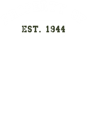 https://d1w8c6s6gmwlek.cloudfront.net/usstshirts.com/overlays/721/869/7218695.png img