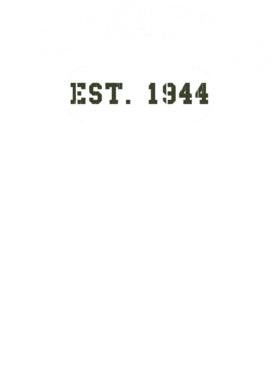 https://d1w8c6s6gmwlek.cloudfront.net/usstshirts.com/overlays/721/900/7219004.png img