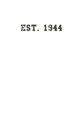 https://d1w8c6s6gmwlek.cloudfront.net/usstshirts.com/overlays/721/912/7219124.png img