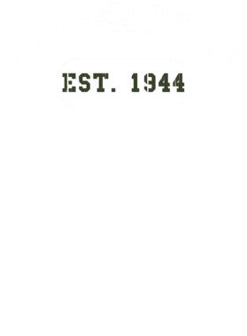 https://d1w8c6s6gmwlek.cloudfront.net/usstshirts.com/overlays/722/031/7220316.png img