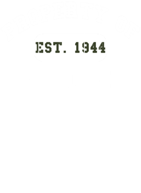 https://d1w8c6s6gmwlek.cloudfront.net/usstshirts.com/overlays/727/662/7276625.png img