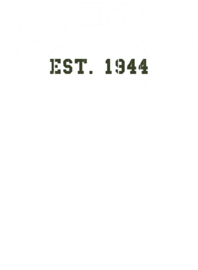 https://d1w8c6s6gmwlek.cloudfront.net/usstshirts.com/overlays/727/670/7276702.png img