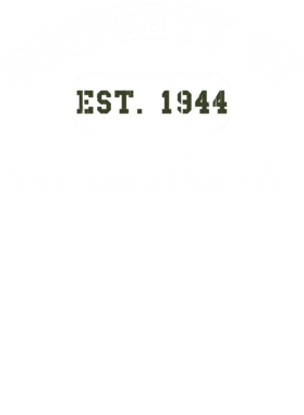 https://d1w8c6s6gmwlek.cloudfront.net/usstshirts.com/overlays/727/673/7276734.png img