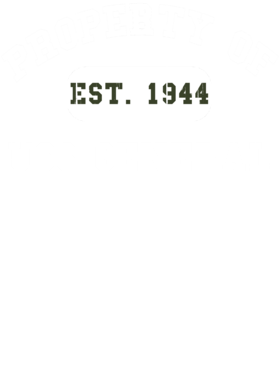 https://d1w8c6s6gmwlek.cloudfront.net/usstshirts.com/overlays/727/682/7276826.png img