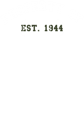 https://d1w8c6s6gmwlek.cloudfront.net/usstshirts.com/overlays/727/686/7276861.png img