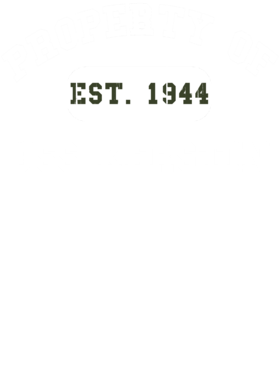 https://d1w8c6s6gmwlek.cloudfront.net/usstshirts.com/overlays/727/697/7276971.png img