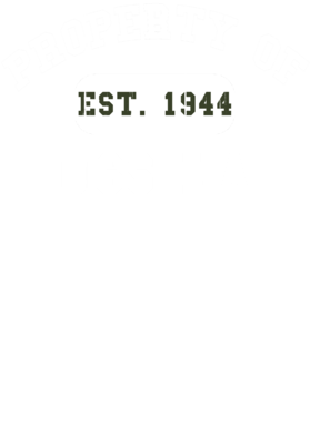 https://d1w8c6s6gmwlek.cloudfront.net/usstshirts.com/overlays/727/701/7277013.png img