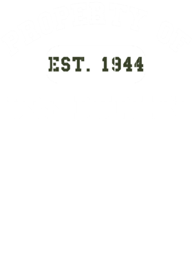 https://d1w8c6s6gmwlek.cloudfront.net/usstshirts.com/overlays/727/705/7277050.png img