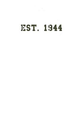 https://d1w8c6s6gmwlek.cloudfront.net/usstshirts.com/overlays/727/711/7277119.png img