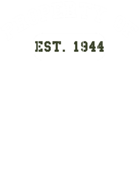 https://d1w8c6s6gmwlek.cloudfront.net/usstshirts.com/overlays/727/714/7277143.png img