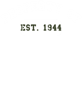 https://d1w8c6s6gmwlek.cloudfront.net/usstshirts.com/overlays/727/723/7277235.png img