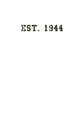 https://d1w8c6s6gmwlek.cloudfront.net/usstshirts.com/overlays/727/730/7277300.png img