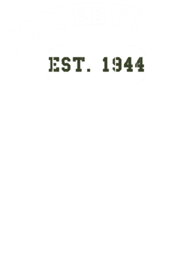 https://d1w8c6s6gmwlek.cloudfront.net/usstshirts.com/overlays/727/731/7277315.png img