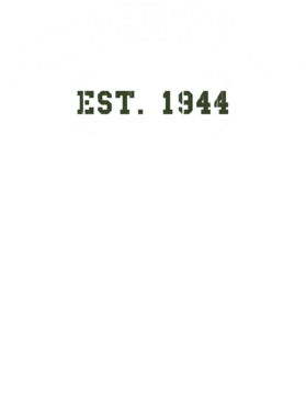https://d1w8c6s6gmwlek.cloudfront.net/usstshirts.com/overlays/727/745/7277452.png img