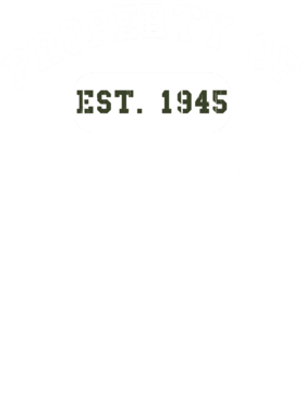 https://d1w8c6s6gmwlek.cloudfront.net/usstshirts.com/overlays/727/761/7277611.png img