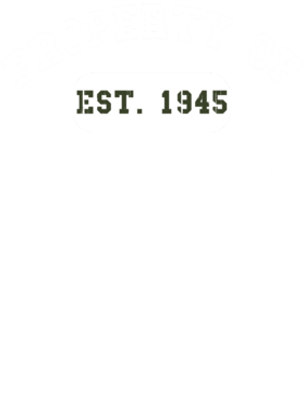 https://d1w8c6s6gmwlek.cloudfront.net/usstshirts.com/overlays/727/763/7277637.png img