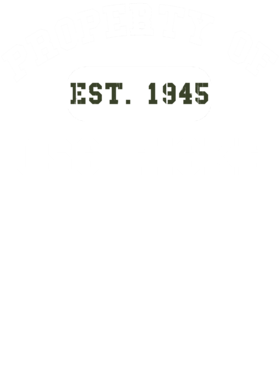 https://d1w8c6s6gmwlek.cloudfront.net/usstshirts.com/overlays/727/796/7277967.png img
