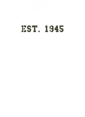 https://d1w8c6s6gmwlek.cloudfront.net/usstshirts.com/overlays/727/921/7279219.png img