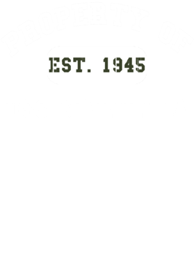 https://d1w8c6s6gmwlek.cloudfront.net/usstshirts.com/overlays/728/000/7280002.png img