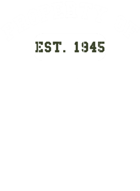 https://d1w8c6s6gmwlek.cloudfront.net/usstshirts.com/overlays/728/508/7285082.png img