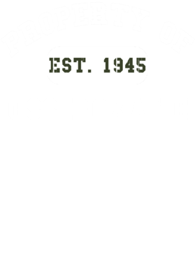 https://d1w8c6s6gmwlek.cloudfront.net/usstshirts.com/overlays/728/544/7285447.png img