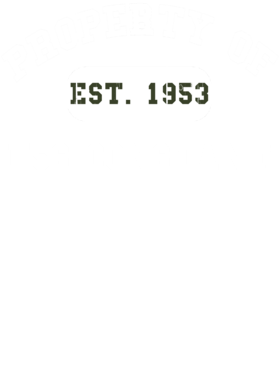 https://d1w8c6s6gmwlek.cloudfront.net/usstshirts.com/overlays/728/979/7289799.png img