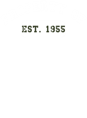 https://d1w8c6s6gmwlek.cloudfront.net/usstshirts.com/overlays/729/399/7293995.png img