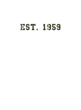https://d1w8c6s6gmwlek.cloudfront.net/usstshirts.com/overlays/729/728/7297287.png img