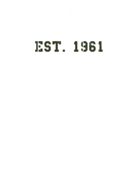 https://d1w8c6s6gmwlek.cloudfront.net/usstshirts.com/overlays/729/931/7299311.png img
