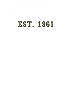 https://d1w8c6s6gmwlek.cloudfront.net/usstshirts.com/overlays/729/965/7299655.png img